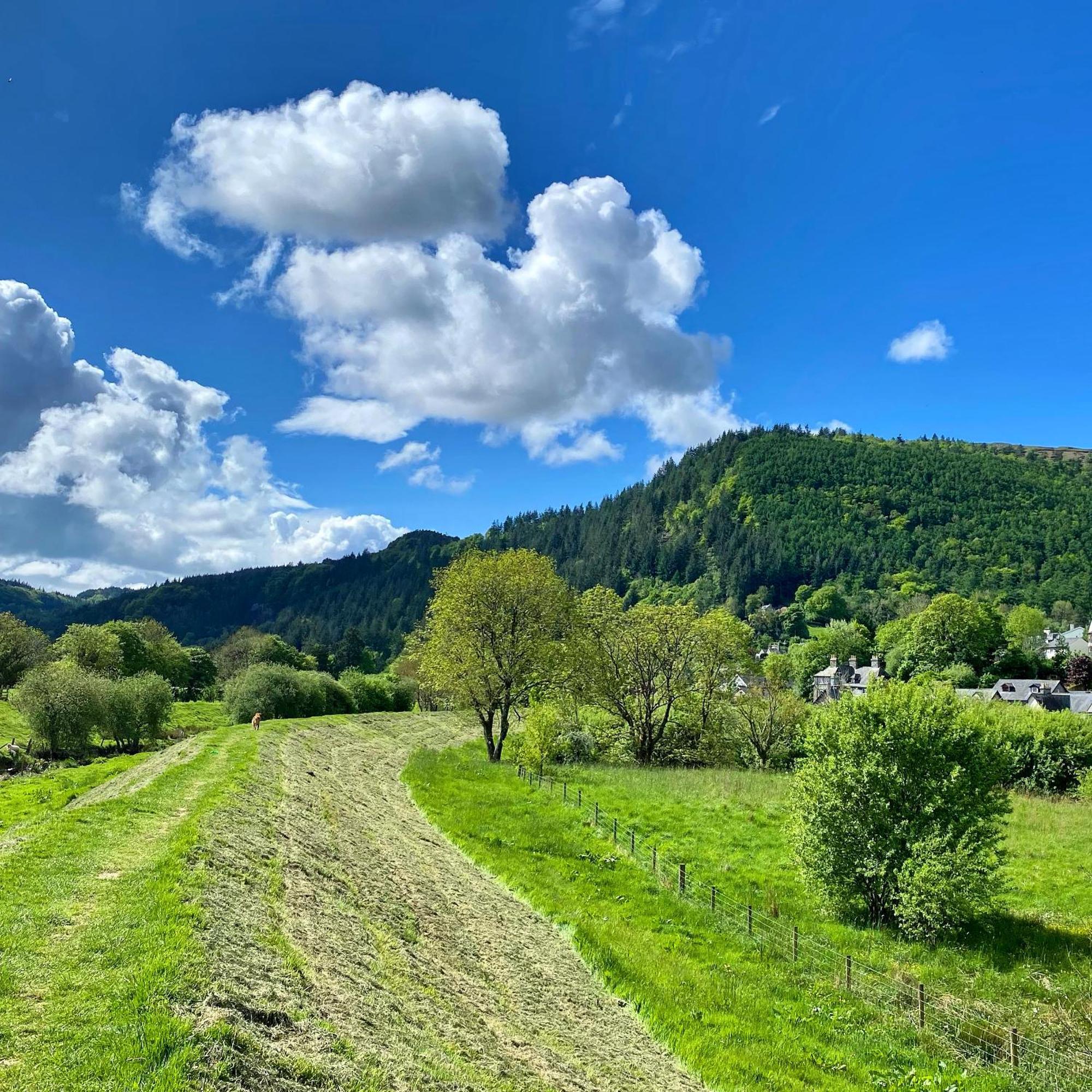 Crafnant House - Bed & Breakfast Trefriw ภายนอก รูปภาพ